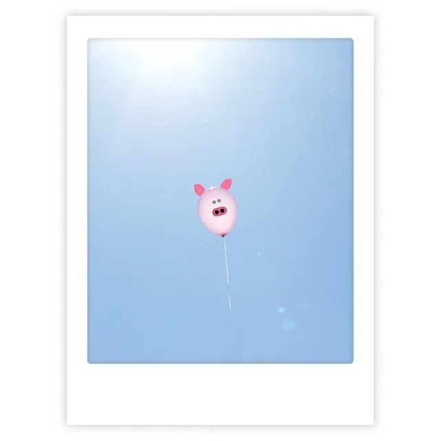 pickmotion-art-poster-balloon-pig-mit-echtglas-rahmen image 1