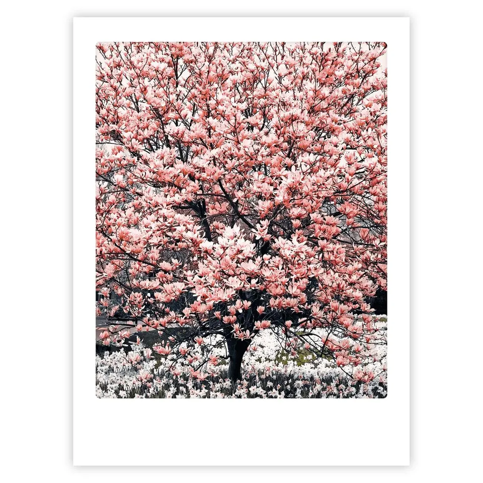 pickmotion-everything-blooms-art-poster-mit-echtglas-rahmen image 1