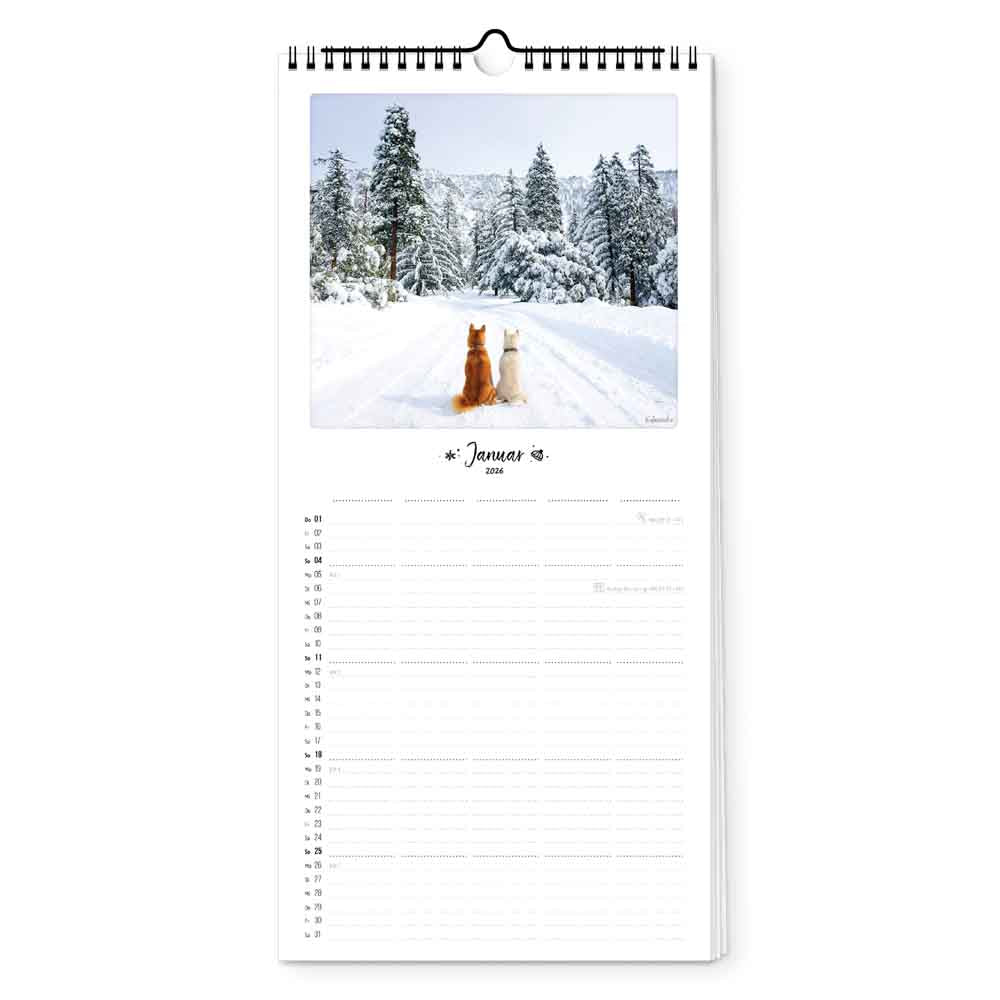 pickmotion-bunter-hund-familienplaner-2026-20x42 image 2