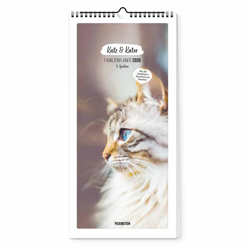 pickmotion-katz-kater-planer-15x40-cm-2026 image 1