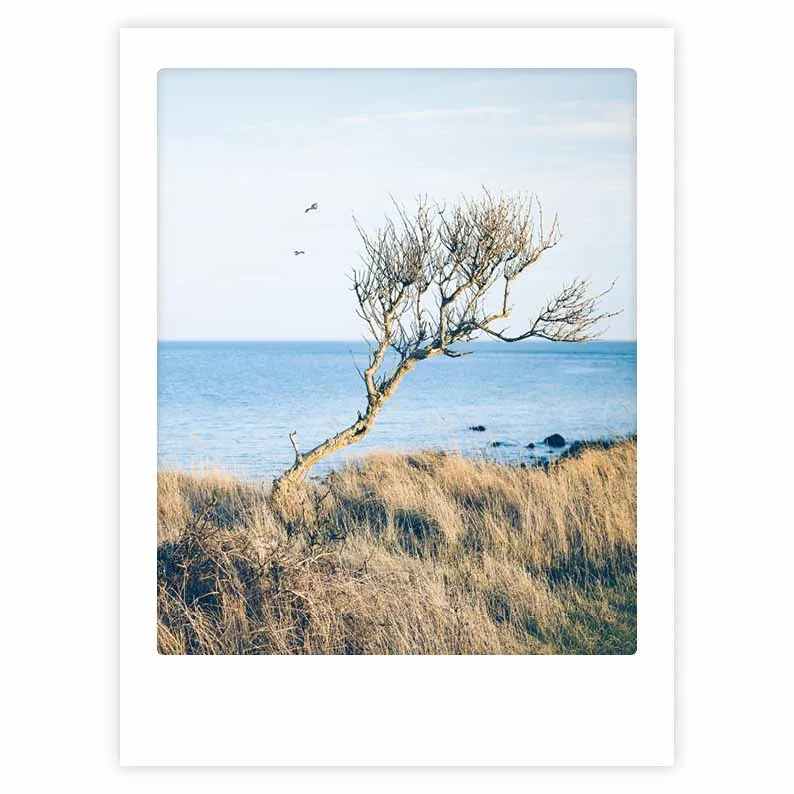 pickmotion-ostseewind-art-poster-mit-echtglas-rahmen image 1
