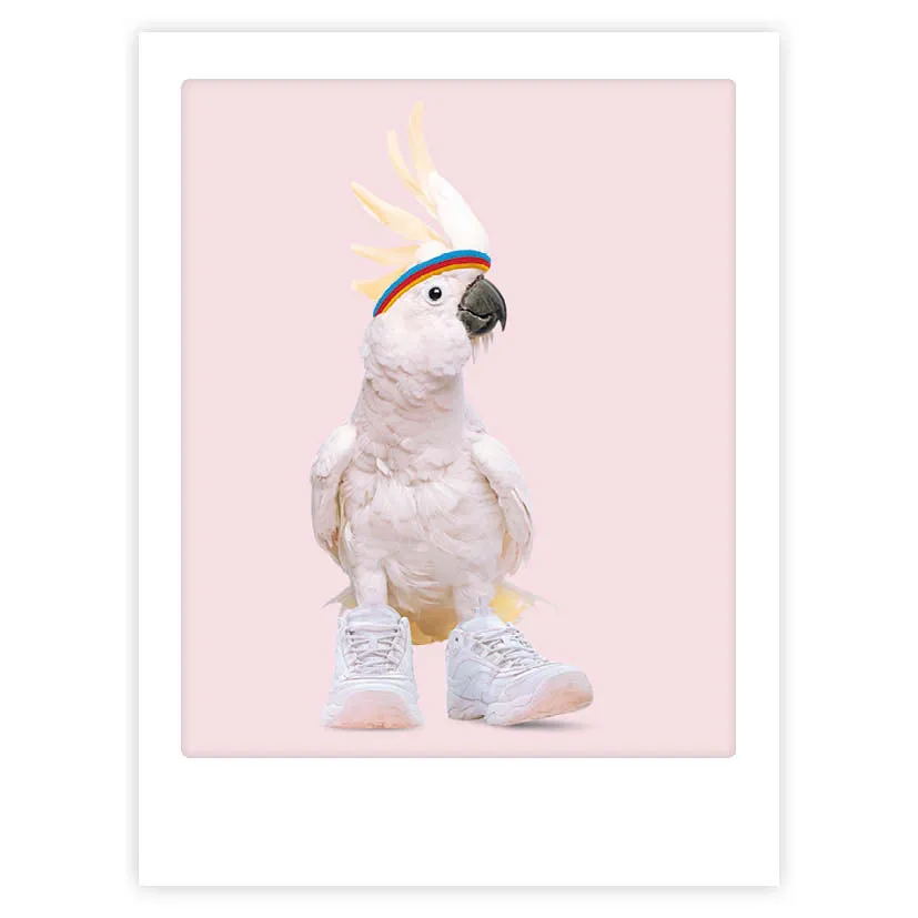 pickmotion-coolest-bird-alive-art-poster-mit-echtglas-rahmen image 1