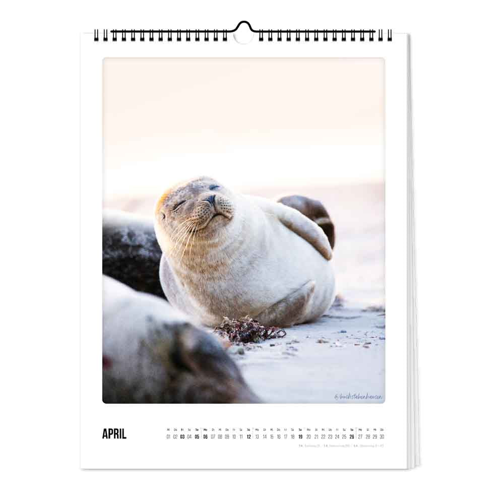 pickmotion-kalender-k-ste-meer-30x40 image 2