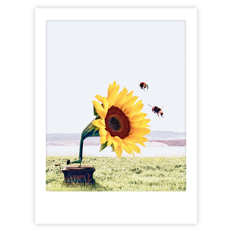 pickmotion-let-the-music-play-art-poster-mit-echtglas-rahmen image 1