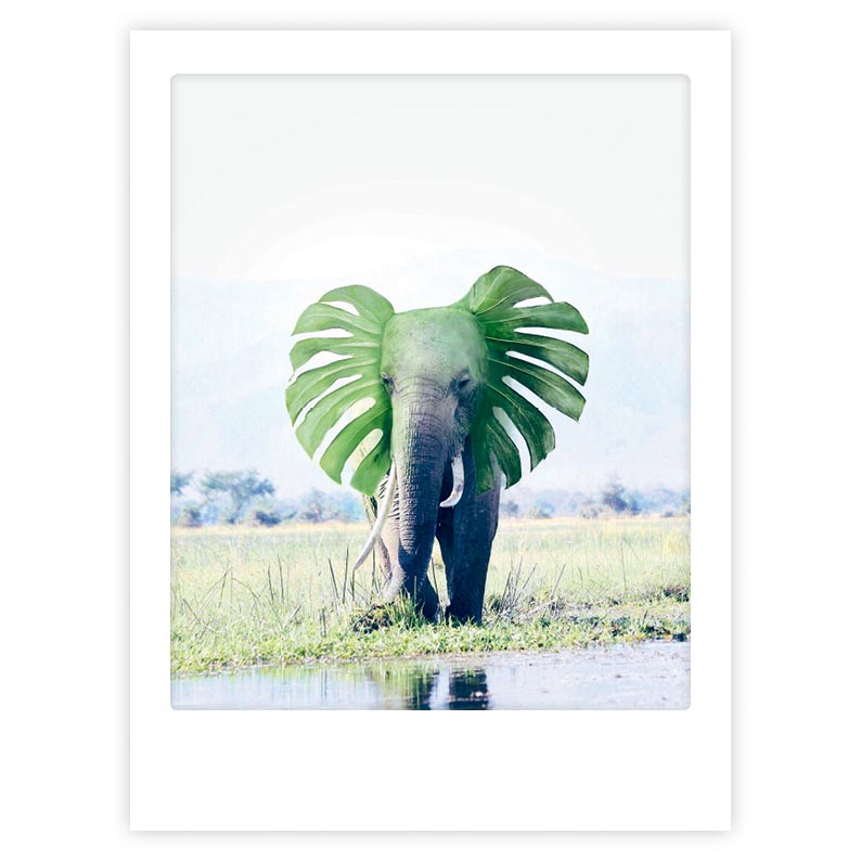 pickmotion-art-poster-life-is-magical-mit-echtglas-rahmen image 1