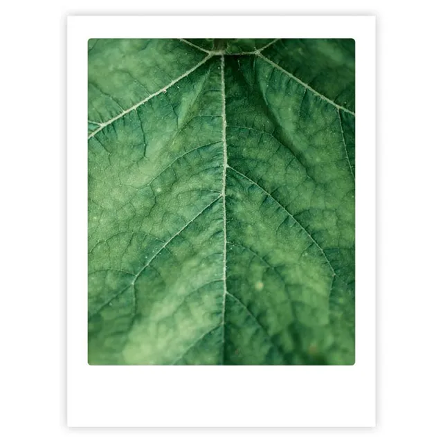 pickmotion-green-universe-art-poster-mit-echtglas-rahmen image 1