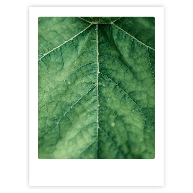pickmotion-green-universe-art-poster-mit-echtglas-rahmen image 1