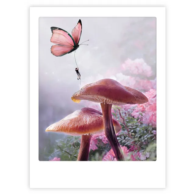 pickmotion-fairytale-forest-art-poster-mit-echtglas-rahmen image 1