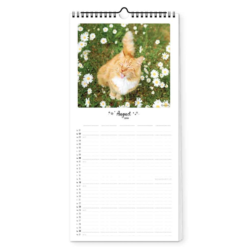 pickmotion-katz-kater-familienplaner-20x42-2026 image 4