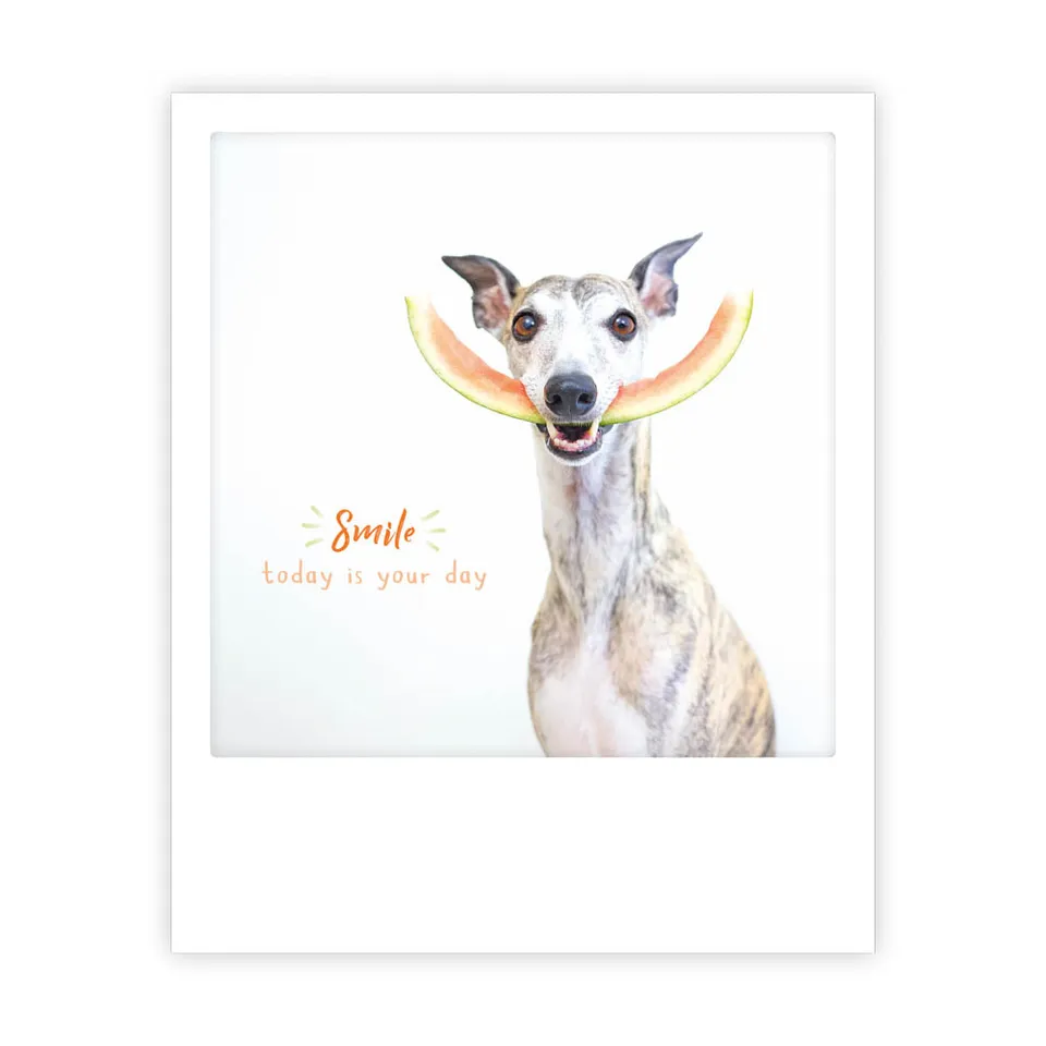 pickmotion-postkarte-smile-today-is-your-day image 1