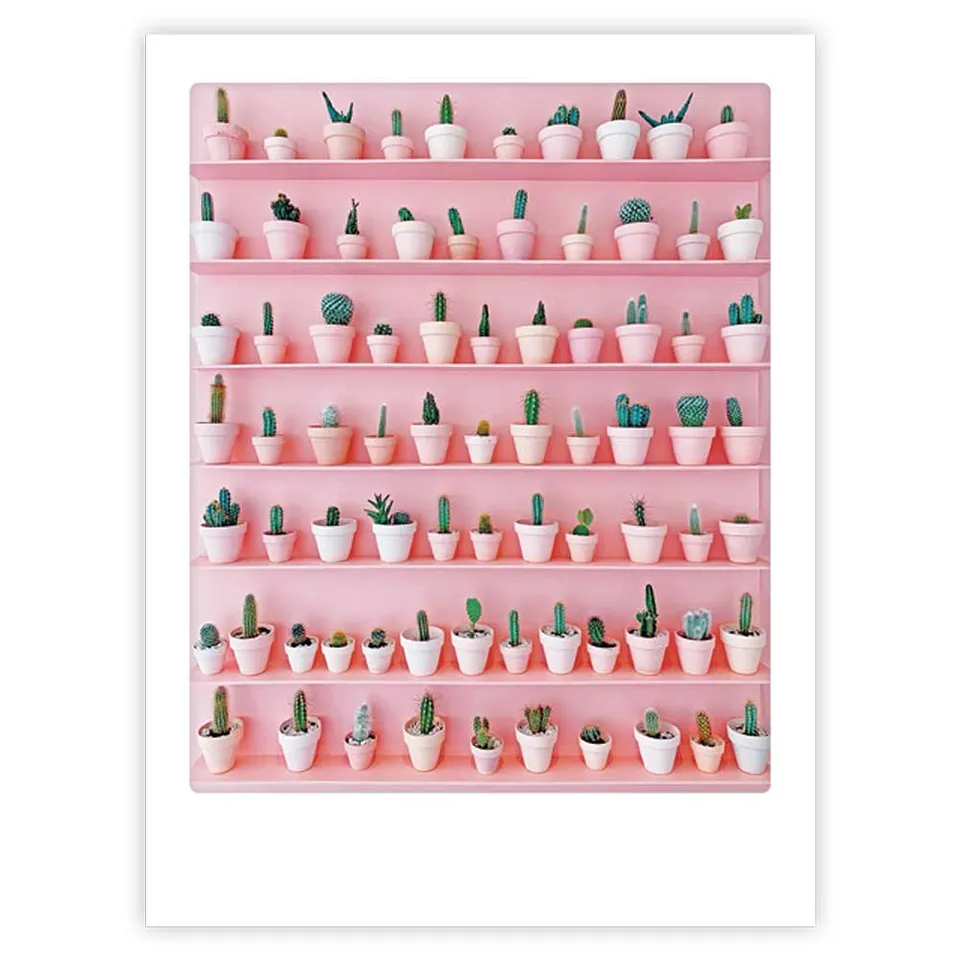 pickmotion-art-poster-cactus-wall-mit-echtglas-rahmen image 1