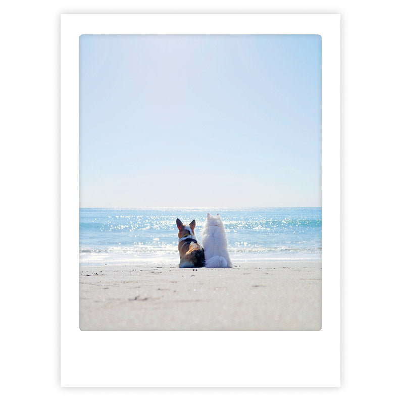 pickmotion-beach-buds-art-poster-mit-echtglas-rahmen image 1