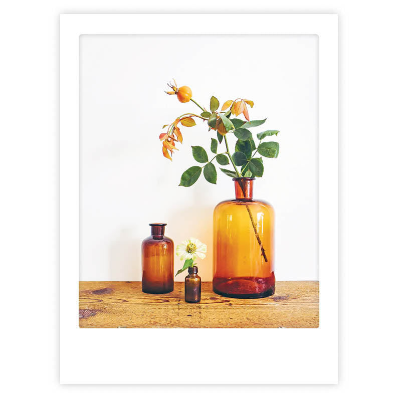 pickmotion-art-poster-orange-blossoms-wandbild-mit-echtglas-rahmen image 1