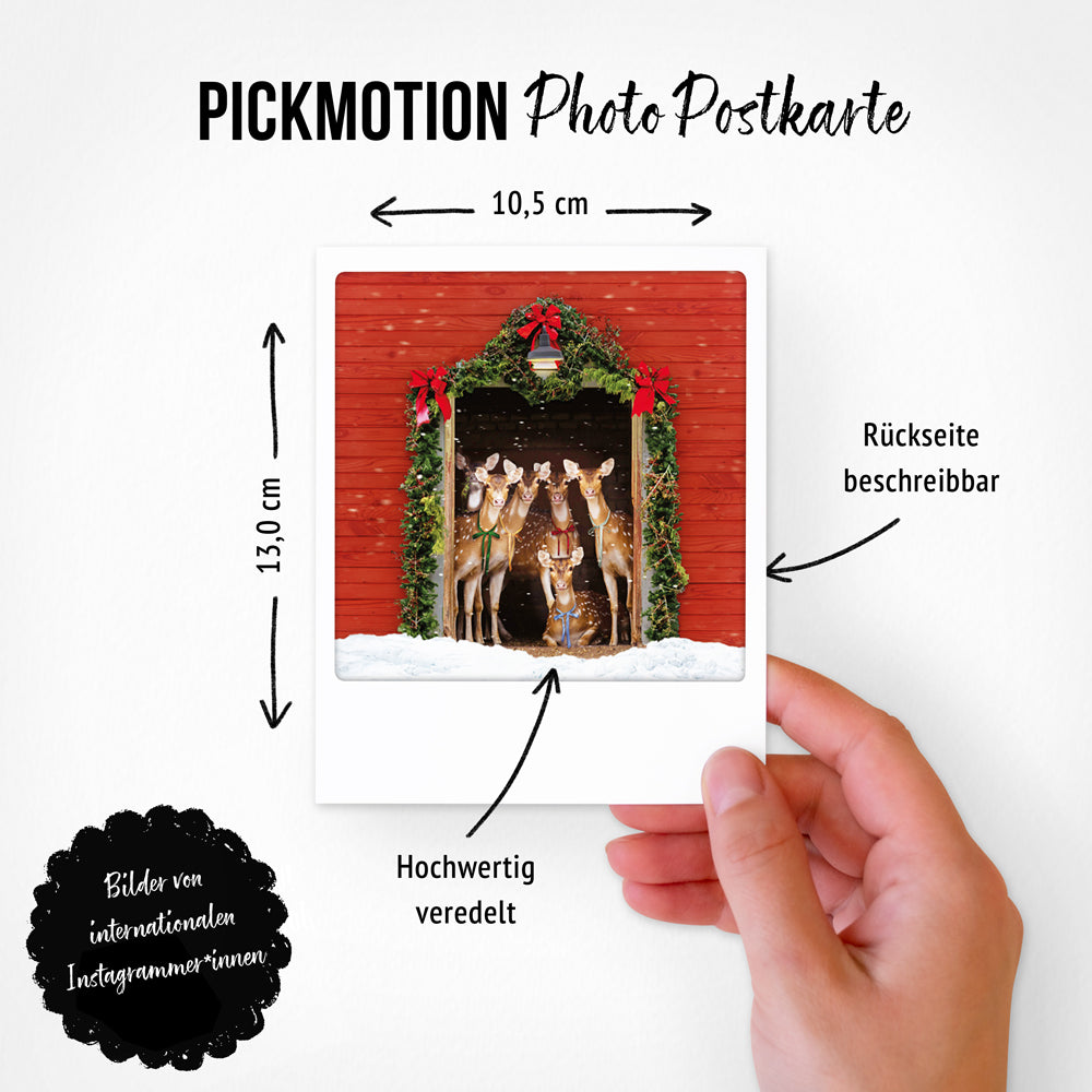 pickmotion-winterm-rchen-5er-postkarten-set-weihnachtskarten-10-5-x-13-cm image 4