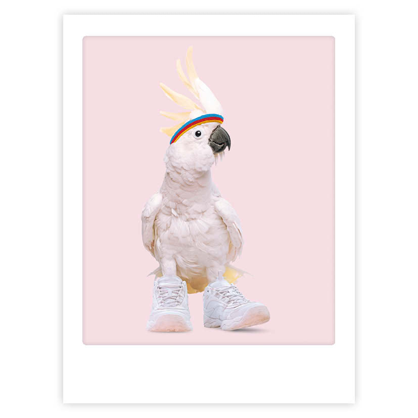 pickmotion-coolest-bird-alive-art-poster-mit-echtglas-rahmen image 1