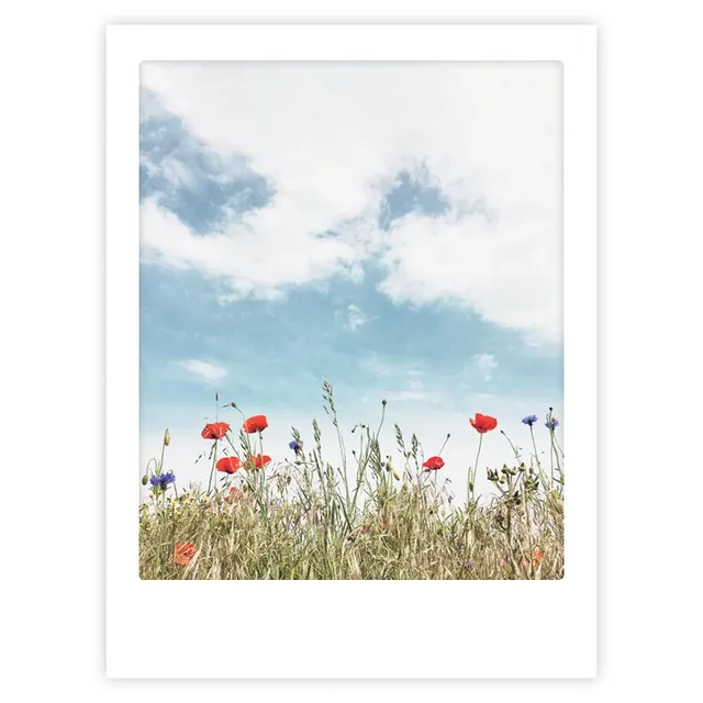 pickmotion-art-poster-fields-of-poppies-mit-echtglas-rahmen image 1