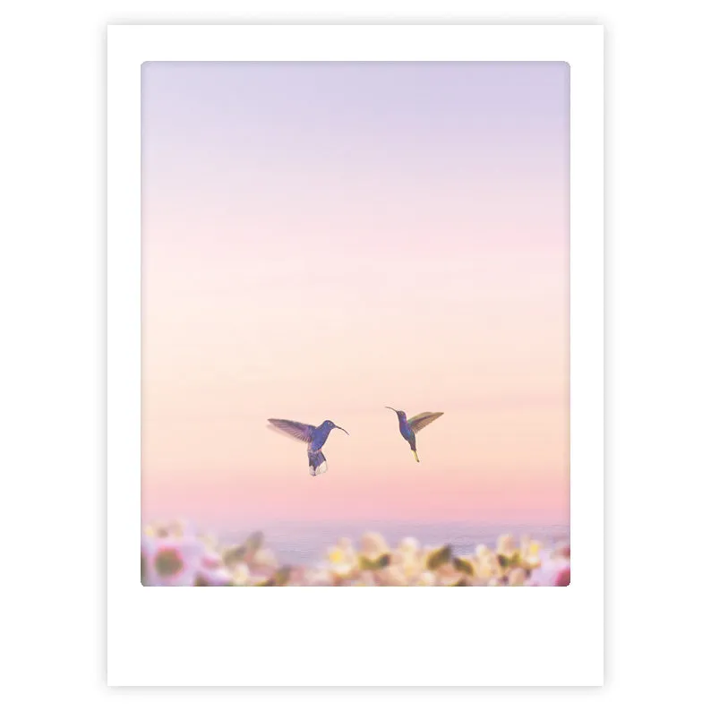 pickmotion-hummingbirds-art-poster image 1