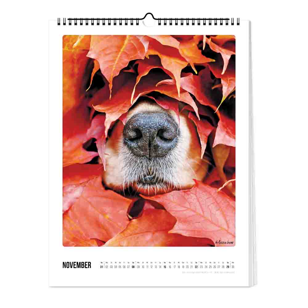 pickmotion-bunter-hund-kalender-30x40-2026 image 3