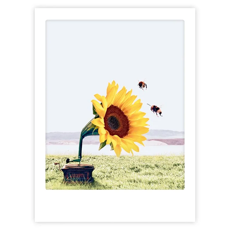 pickmotion-let-the-music-play-art-poster-mit-echtglas-rahmen image 1