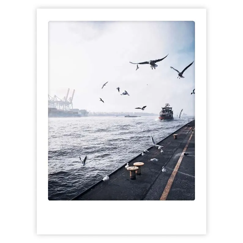 pickmotion-art-poster-mowenschwarm-mit-echtglas-rahmen image 1