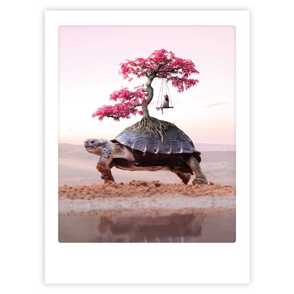 pickmotion-turtle-life-art-poster-mit-echtglas-rahmen image 1