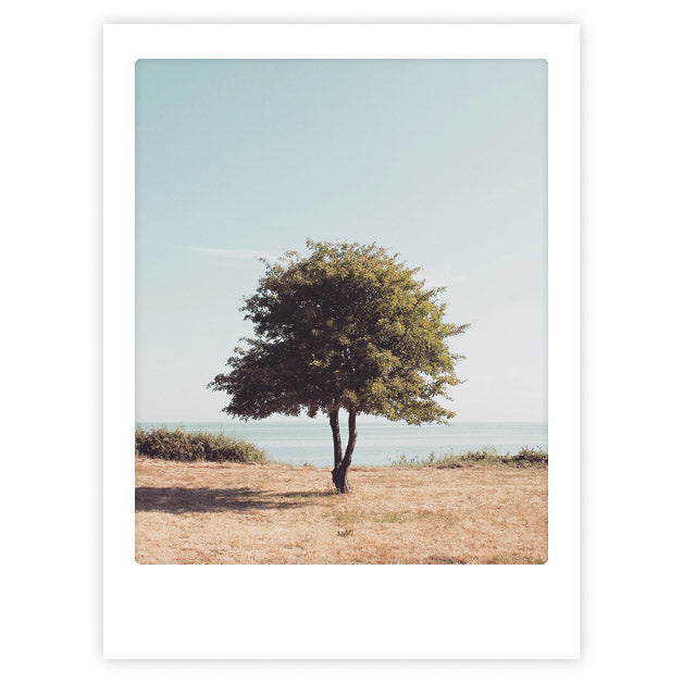 pickmotion-stand-tall-art-poster-mit-echtglas-rahmen image 1