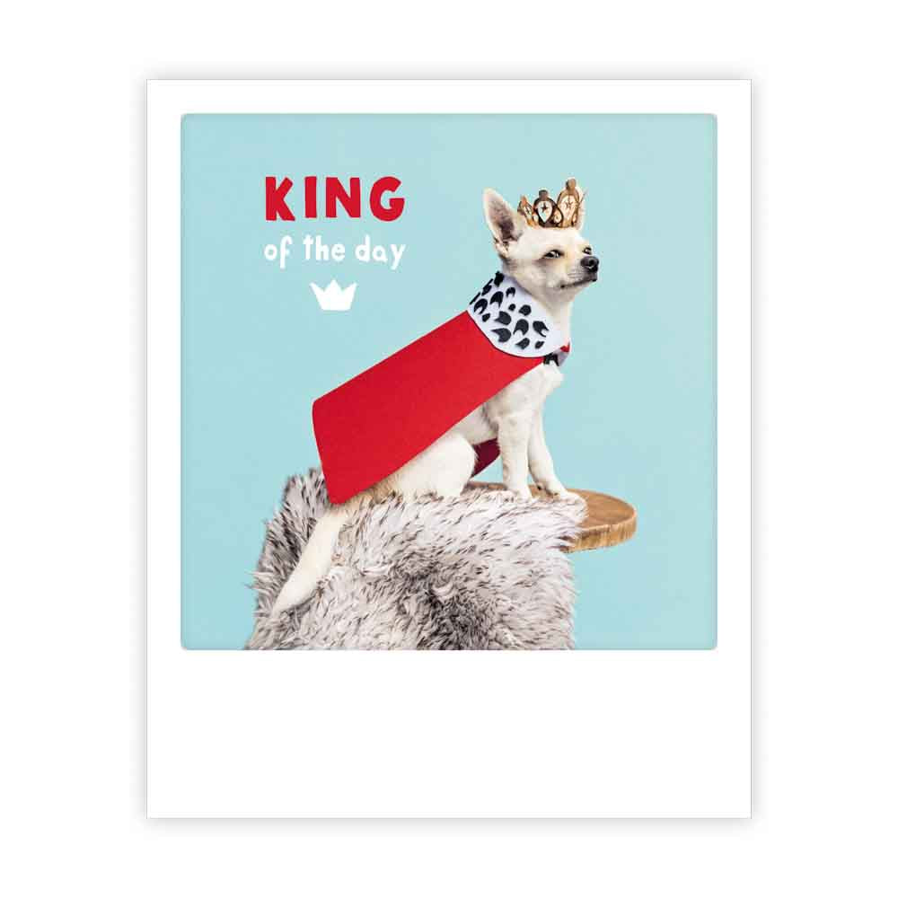 pickmotion-king-of-the-day-postkarte-im-sofortbild-stil image 1