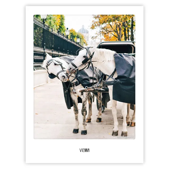 pickmotion-art-poster-white-horses-in-vienna-mit-echtglas-rahmen image 1