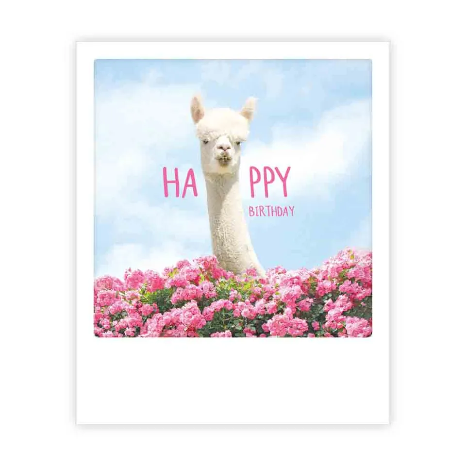 pickmotion-postkarte-happy-birthday-lama-im-sofortbild-stil image 1