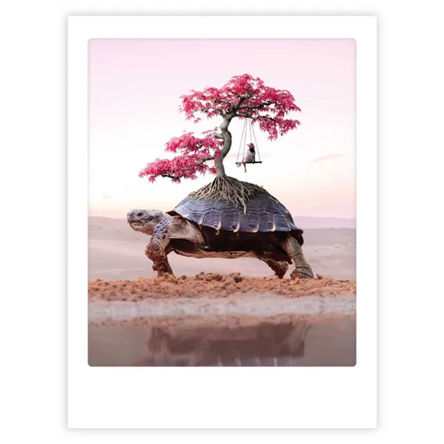 pickmotion-turtle-life-art-poster-mit-echtglas-rahmen image 1